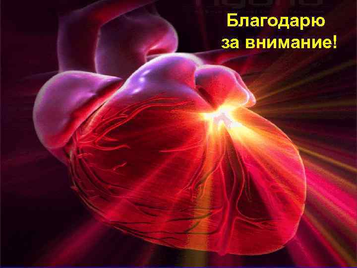 Благодарю за внимание! 