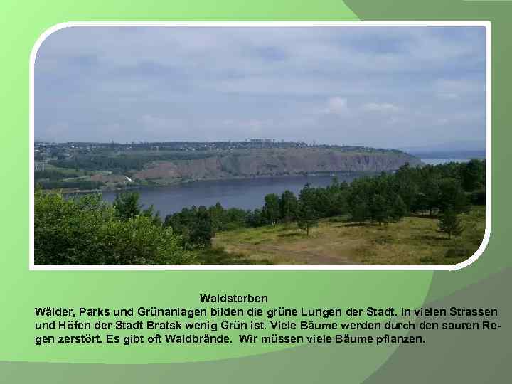 Waldsterben Wälder, Parks und Grünanlagen bilden die grüne Lungen der Stadt. In vielen Strassen