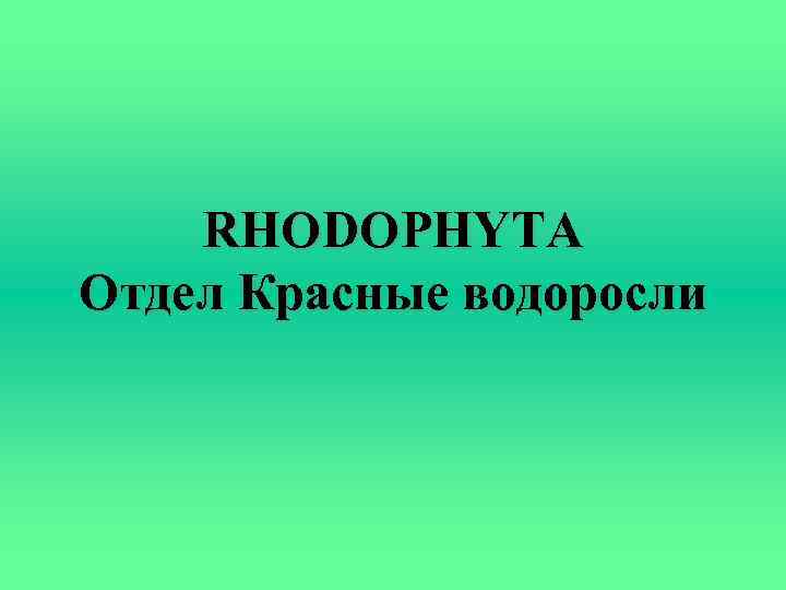 RHODOPHYTA Отдел Красные водоросли 