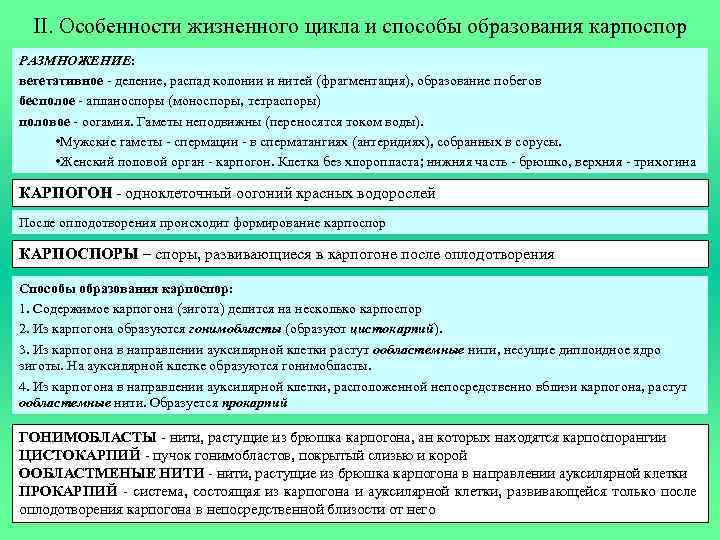 II. Особенности жизненного цикла и способы образования карпоспор РАЗМНОЖЕНИЕ: вегетативное - деление, распад колонии