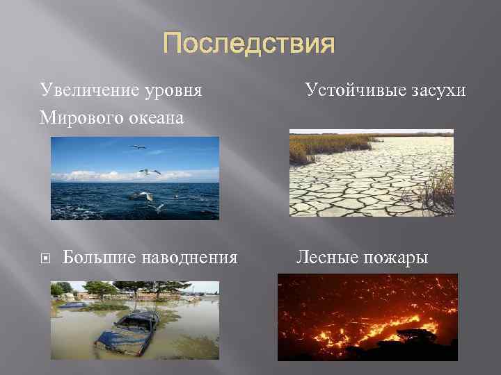 Последствия повышения уровня океана