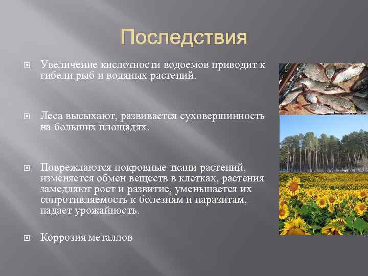 Увеличение последствий. Опасности связанные с растениями. Естественные причины гибели растений. В каких случаях вода может привести к гибели растения. Деятельность человека приводящая к гибели растений.