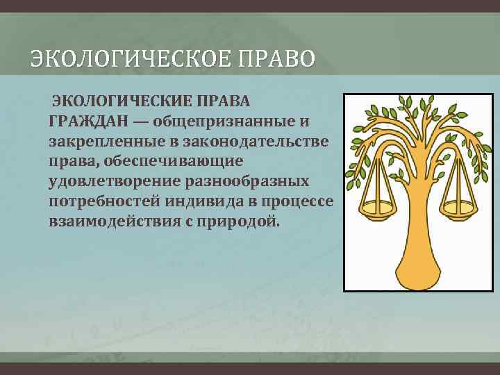 ЭКОЛОГИЧЕСКОЕ ПРАВО ЭКОЛОГИЧЕСКИЕ ПРАВА ГРАЖДАН — общепризнанные и закрепленные в законодательстве права, обеспечивающие удовлетворение