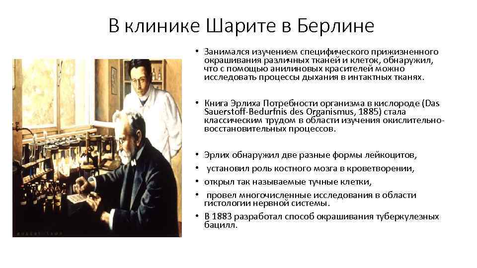 В клинике Шарите в Берлине • Занимался изучением специфического прижизненного окрашивания различных тканей и