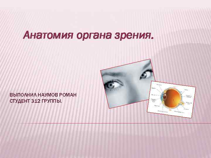 Анатомия органа зрения. ВЫПОЛНИЛ НАУМОВ РОМАН СТУДЕНТ 312 ГРУППЫ. 