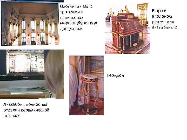 Охотничий зал с трофеями в павильонах мореенцбурга под дрезданом Бюро с аполоном ренген для