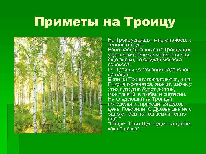 Приметы на Троицу § На Троицу дождь - много грибов, к теплой погоде. Если