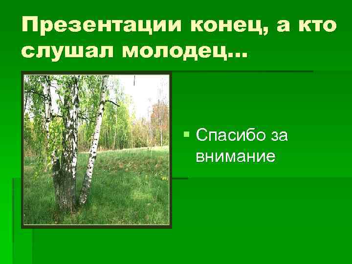 Презентации конец, а кто слушал молодец… § Спасибо за внимание 
