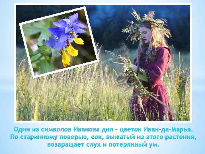 Один из символов Иванова дня – цветок Иван-да-Марья. По старинному поверью, сок, выжатый из