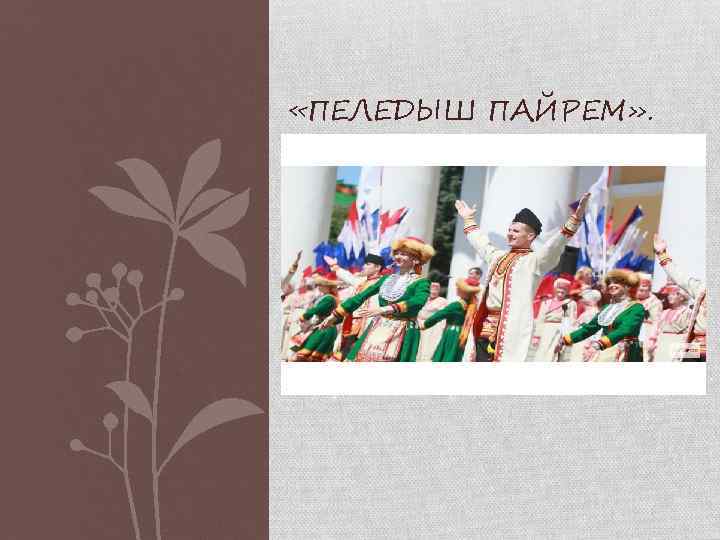  «ПЕЛЕДЫШ ПАЙРЕМ» . 