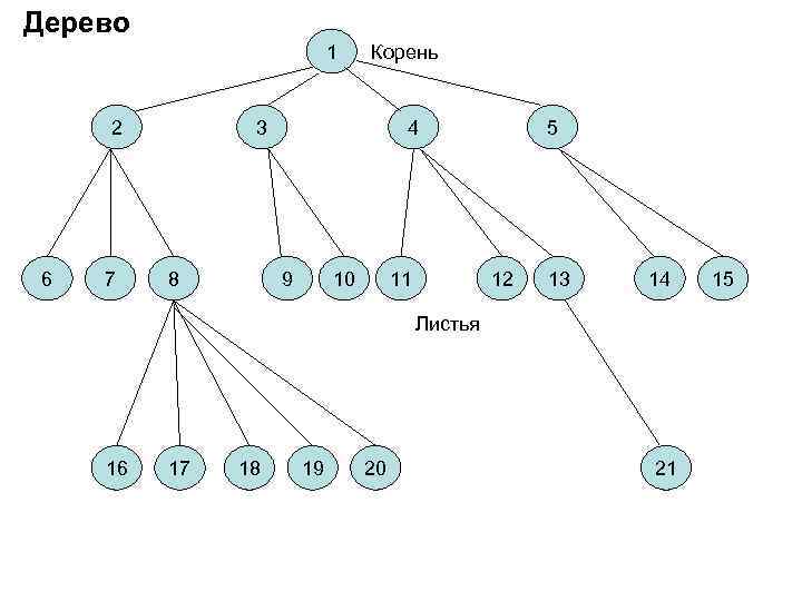 Дерево 1 2 6 7 Корень 3 8 4 9 10 11 5 12