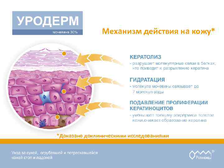 Механизм действия на кожу* *Доказано доклиническими исследованиями 