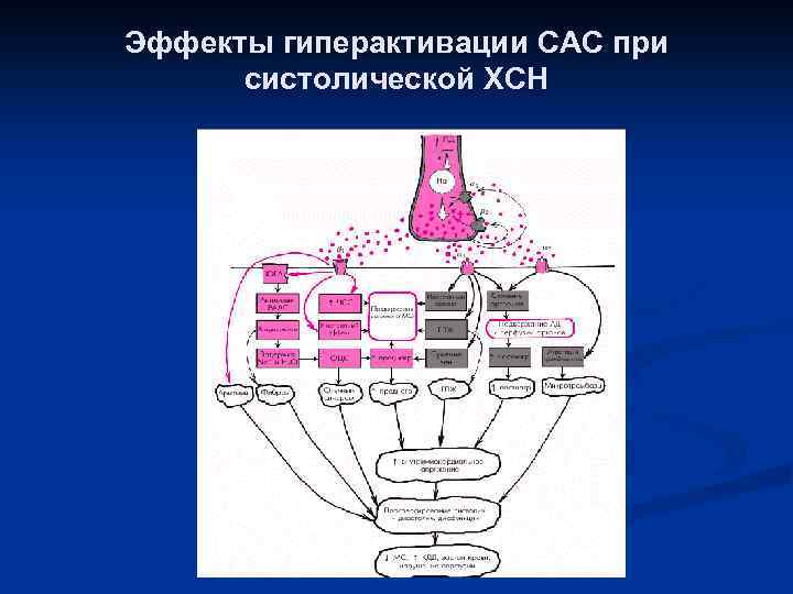 Эффекты гиперактивации САС при систолической ХСН 