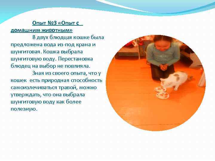 Опыт № 3 «Опыт с домашним животным» В двух блюдцах кошке была предложена вода