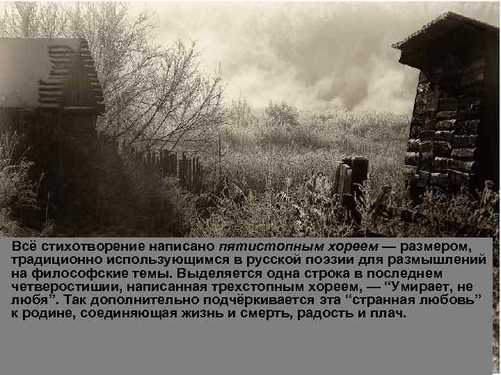 Всё стихотворение написано пятистопным хореем — размером, традиционно использующимся в русской поэзии для размышлений