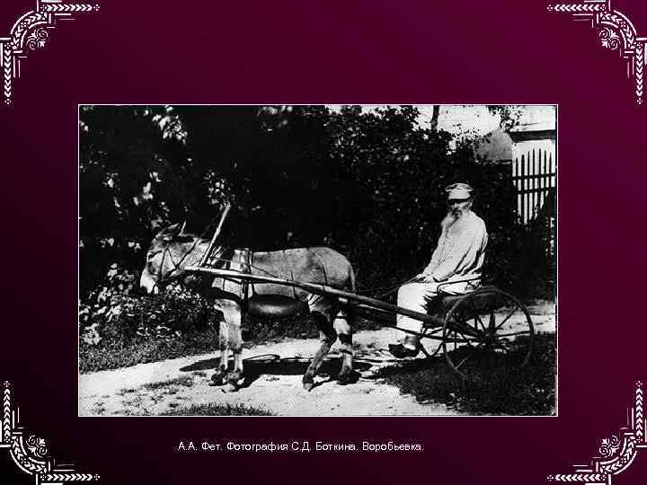 А. А. Фет. Фотография С. Д. Боткина. Воробьевка. 