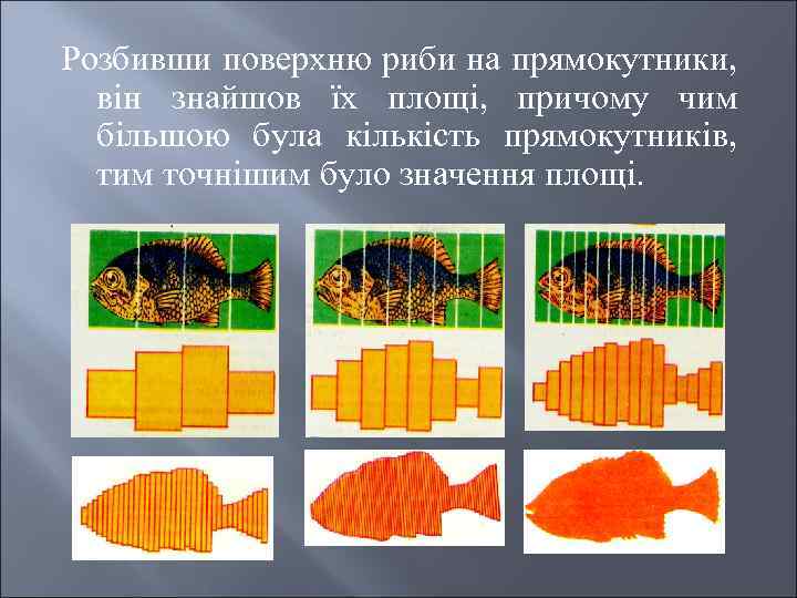 Розбивши поверхню риби на прямокутники, він знайшов їх площі, причому чим більшою була кількість