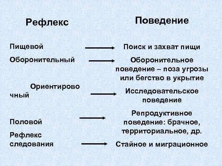 Рефлекс Пищевой Оборонительный Ориентирово чный Половой Рефлекс следования Поведение Поиск и захват пищи Оборонительное
