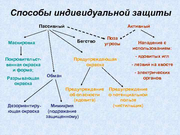 Способы индивидуальной защиты Пассивный Бегство Маскировка Покровительственная окраска и форма; Разрывающая окраска Дезориентирующая окраска