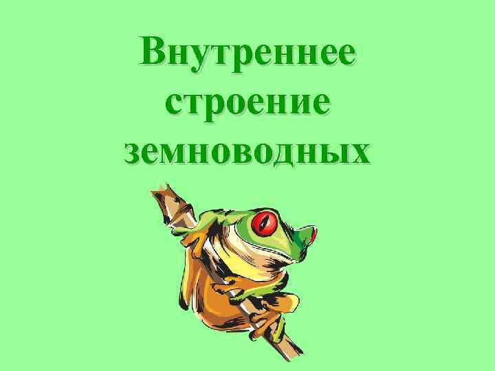 Выберите три верно обозначенные подписи к рисунку на котором изображено строение скелета лягушки