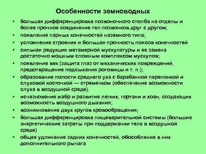 Особенности земноводных • • • большая дифференцировка позвоночного столба на отделы и более прочное