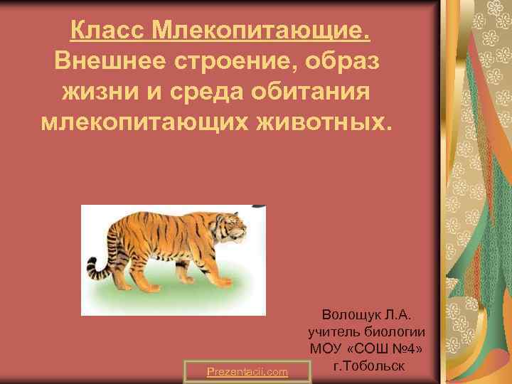 Класс Млекопитающие. Внешнее строение, образ жизни и среда обитания млекопитающих животных. Prezentacii. com Волощук