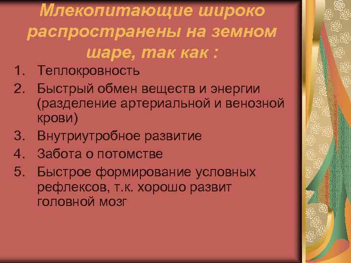 Млекопитающие широко распространены на земном шаре, так как : 1. Теплокровность 2. Быстрый обмен