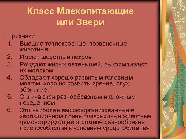 Класс Млекопитающие или Звери Признаки: 1. Высшие теплокровные позвоночные животные 2. Имеют шерстный покров