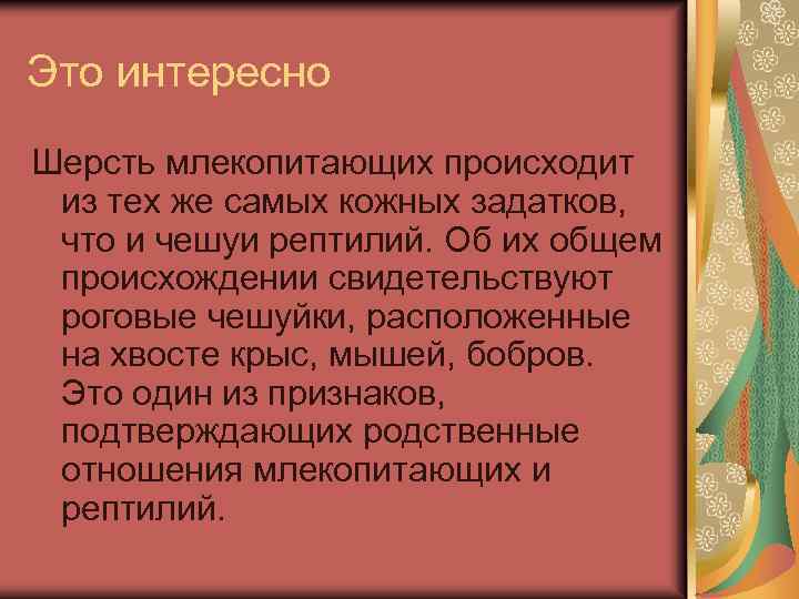 Это интересно Шерсть млекопитающих происходит из тех же самых кожных задатков, что и чешуи