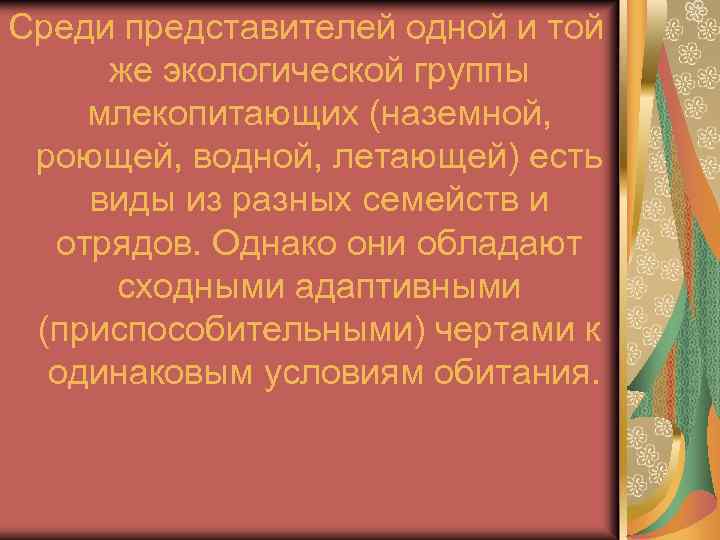 Среди представителей одной и той же экологической группы млекопитающих (наземной, роющей, водной, летающей) есть