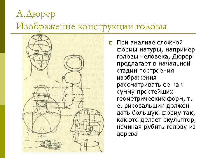 А. Дюрер Изображение конструкции головы p При анализе сложной формы натуры, например головы человека,