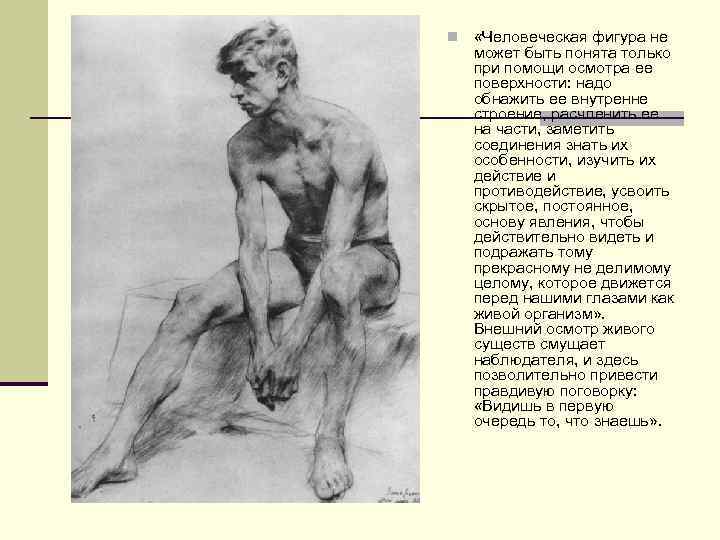 n «Человеческая фигура не может быть понята только при помощи осмотра ее поверхности: надо