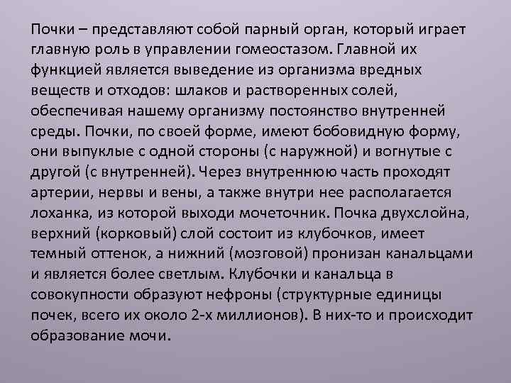 Почки – представляют собой парный орган, который играет главную роль в управлении гомеостазом. Главной