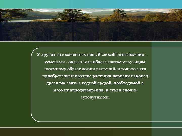 У других голосеменных новый способ размножения семенами оказался наиболее соответствующим наземному образу жизни растений,