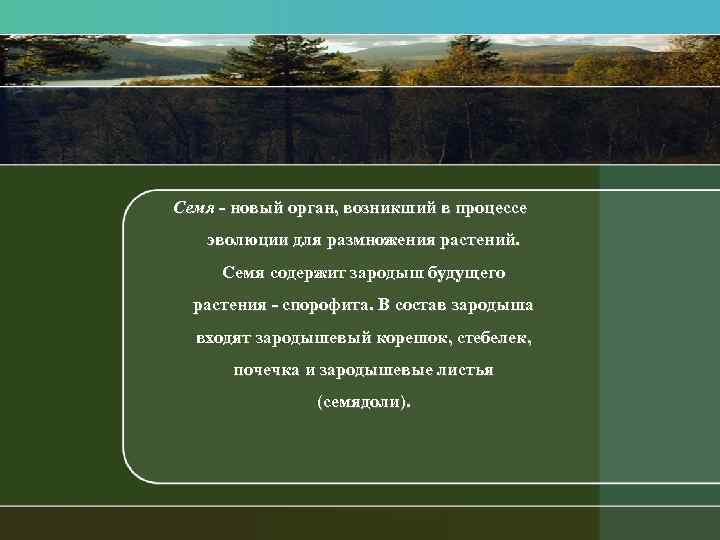 Семя новый орган, возникший в процессе эволюции для размножения растений. Семя содержит зародыш будущего