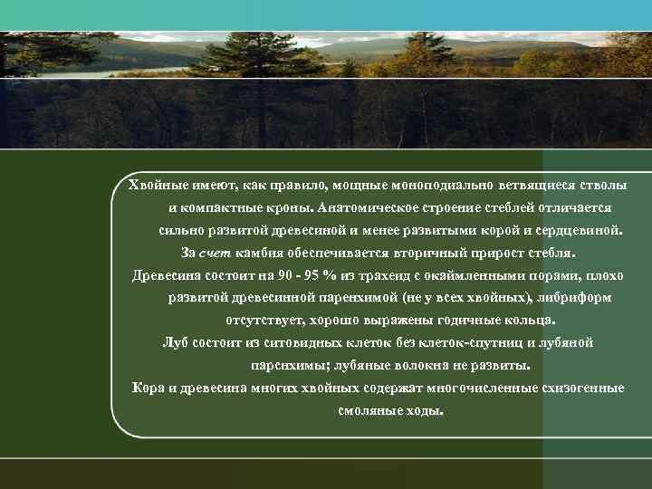 Хвойные имеют, как правило, мощные моноподиально ветвящиеся стволы и компактные кроны. Анатомическое строение стеблей