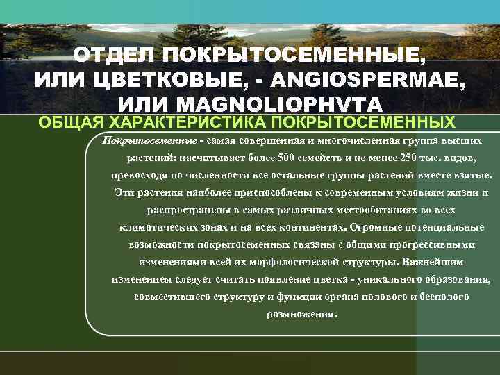 ОТДЕЛ ПОКРЫТОСЕМЕННЫЕ, ИЛИ ЦВЕТКОВЫЕ, ANGIOSPERMAE, ИЛИ MAGNOLIOPHVTA ОБЩАЯ ХАРАКТЕРИСТИКА ПОКРЫТОСЕМЕННЫХ Покрытосеменные самая совершенная и