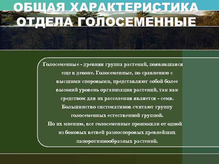 Голосеменных в отличие от папоротников не происходит. Общая характеристика голосеменных. Отдел Голосеменные общая характеристика. Общая характеристика голосеменных растений. Отдел Голосеменные растения общая характеристика.