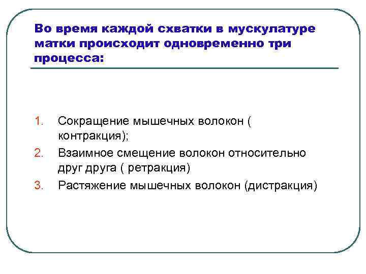 Во время каждой схватки в мускулатуре матки происходит одновременно три процесса: 1. 2. 3.