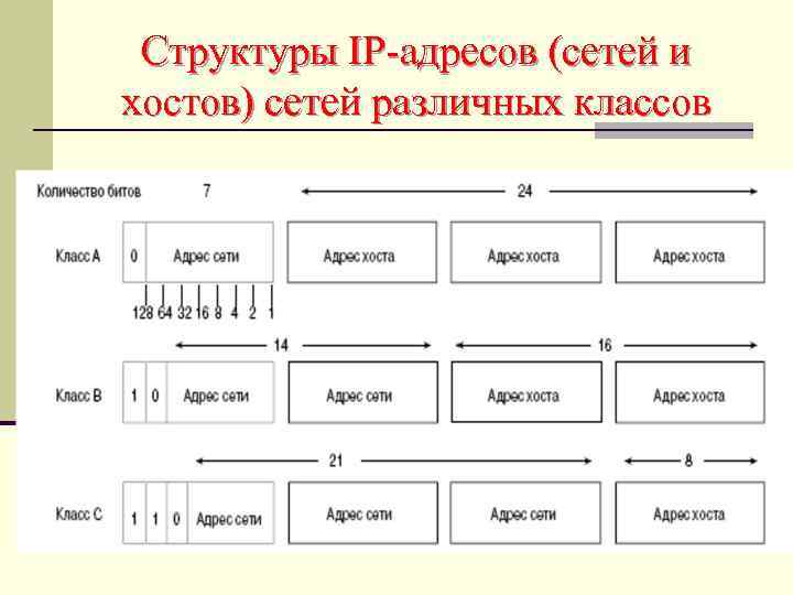 Назовите адрес сети