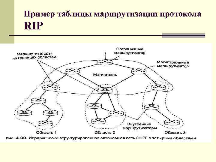 Опишите схему работы протокола rip