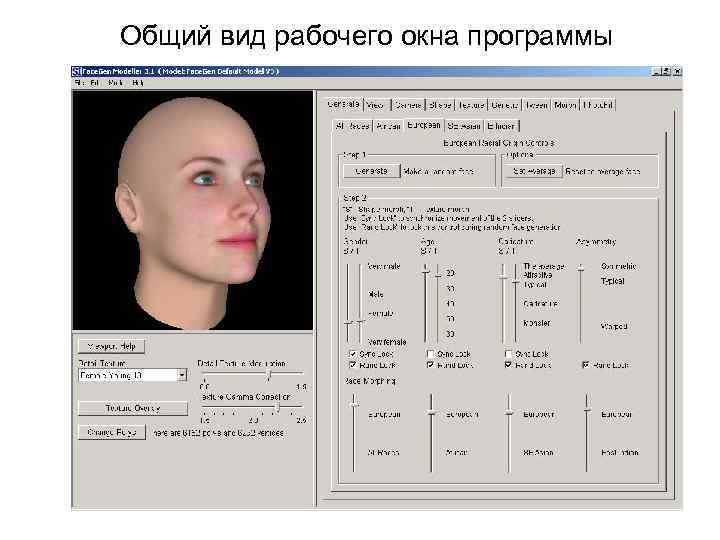 Общий вид рабочего окна программы 