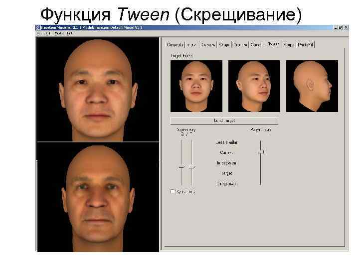 Функция Tween (Скрещивание) 