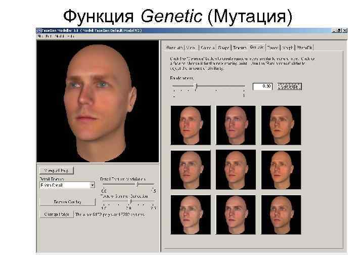 Функция Genetic (Мутация) 