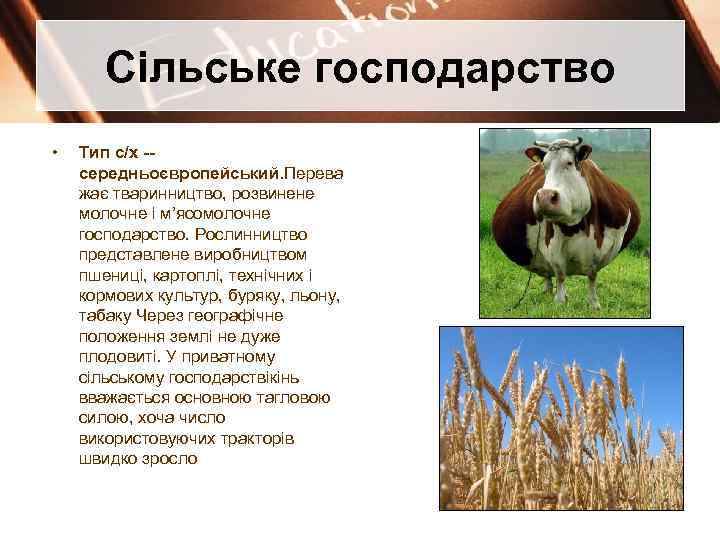 Сільське господарство • Тип с/х -середньоєвропейський. Перева жає тваринництво, розвинене молочне і м’ясомолочне господарство.