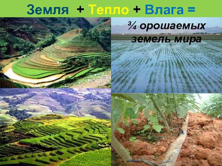 Земля + Тепло + Влага = ¾ орошаемых проблема 50% 15% земель мира 