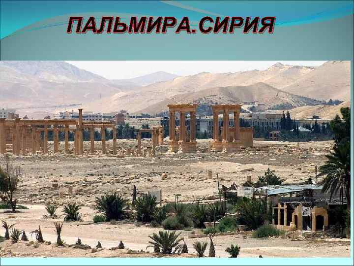 ПАЛЬМИРА. СИРИЯ 