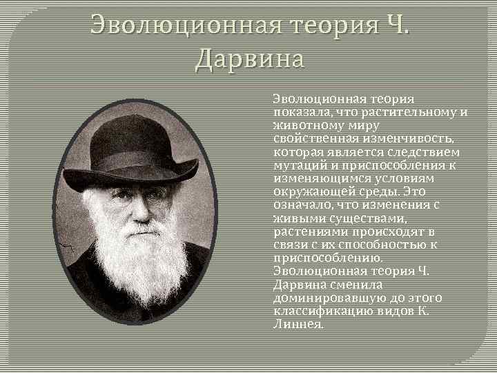 Эволюционная теория Ч. Дарвина Эволюционная теория показала, что растительному и животному миру свойственная изменчивость,