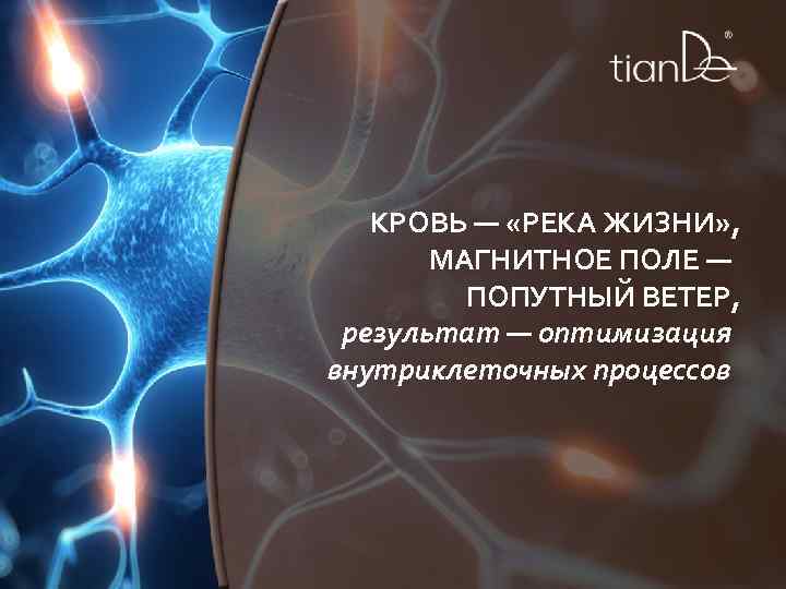 КРОВЬ — «РЕКА ЖИЗНИ» , МАГНИТНОЕ ПОЛЕ — ПОПУТНЫЙ ВЕТЕР, результат — оптимизация внутриклеточных