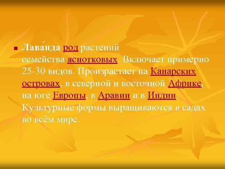 n Лава нда род растений семейства яснотковых. Включает примерно 25 -30 видов. Произрастает на